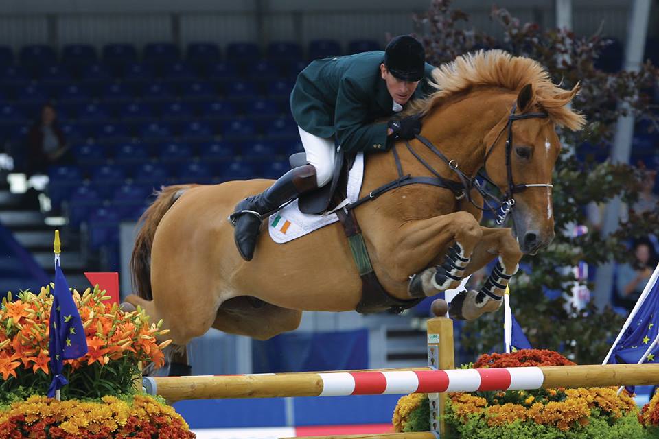 Carling Hill, an Irish-bred showjumper, clearing a fence